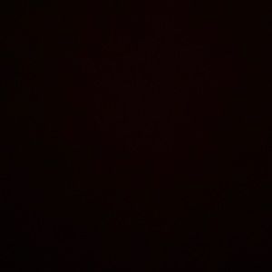 Meet your Posher, Warren